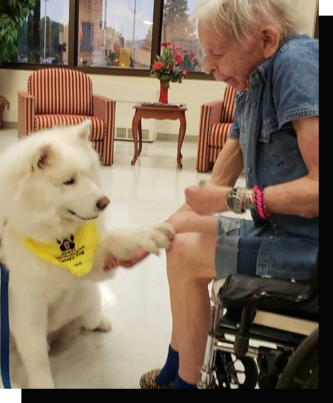 kpets-slider-heart-girl